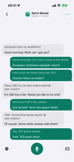 Interpreter screen: a face-to-face conversation, every line in two languages
